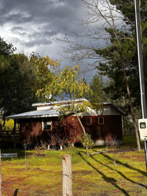 se-vende-media-hectarea-en-yumbel-con-casa-regu-5
