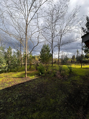 se-vende-media-hectarea-en-yumbel-con-casa-regu-9