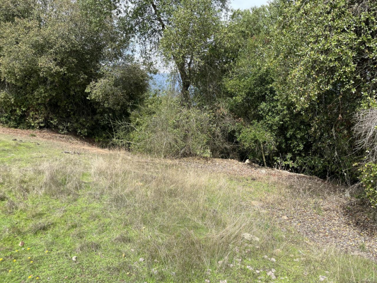venta-hermoso-terreno-con-orilla-de-estero-5