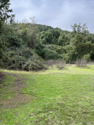 venta-hermoso-terreno-con-orilla-de-estero-7