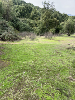 venta-hermoso-terreno-con-orilla-de-estero-9