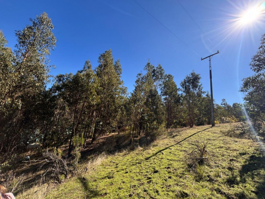 venta-terreno-4-hectareas-monterrey-alto,-comu-3