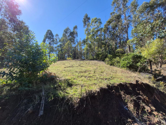venta-terreno-4-hectareas-monterrey-alto,-comu-9