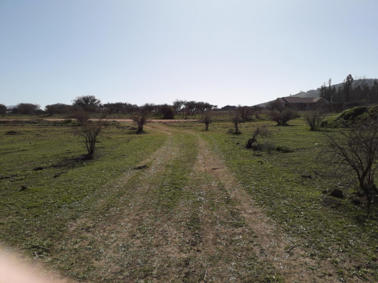 parcela-en-comuna-de-zapallar-10000-m2-5