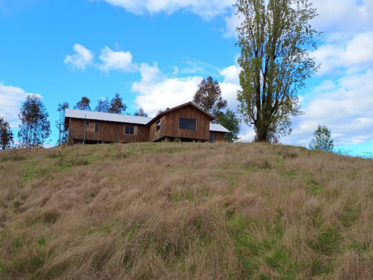 -5