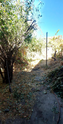 venta-terreno-urbano-con-casa-antigua-centro--9