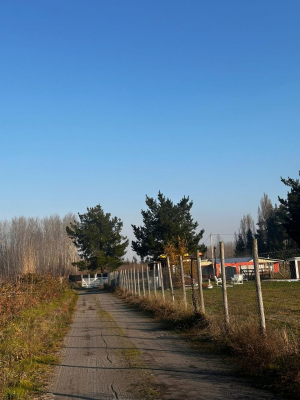 -13