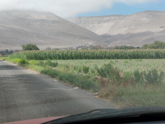 calle-lluta-antes-de-poconchile-km-26-3