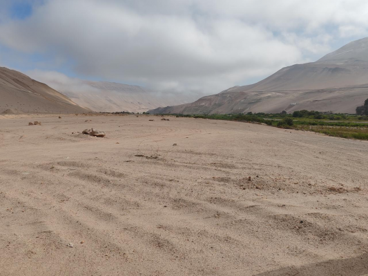 calle-lluta-antes-de-poconchile-km-26-5