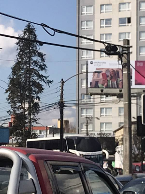 -19