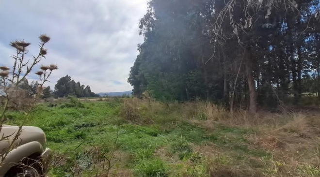 venta-de-parcela,-5000mt2-de-terreno,-camino-sa-3