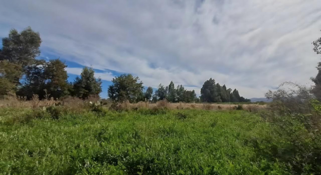 venta-de-parcela,-5000mt2-de-terreno,-camino-sa-5