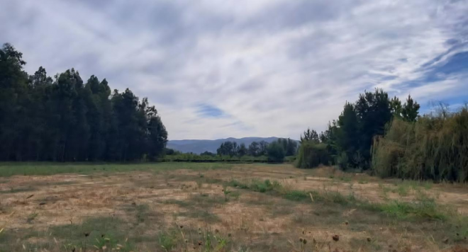venta-de-parcela,-5000mt2-de-terreno,-camino-sa-7