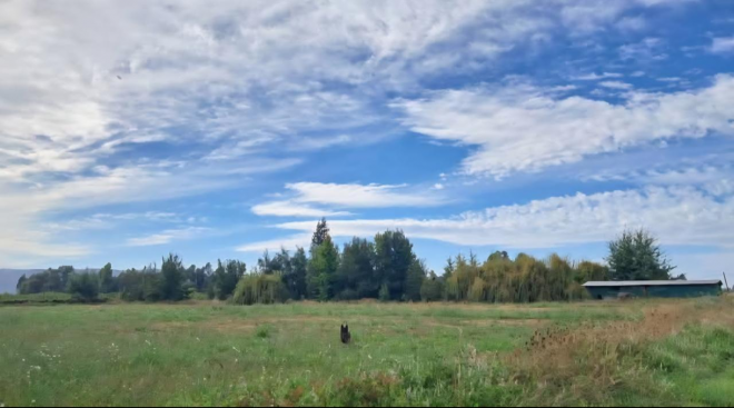 venta-de-parcela,-5000mt2-de-terreno,-camino-sa-9