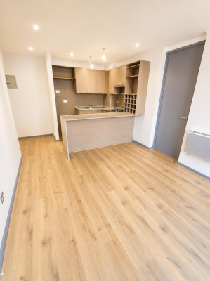 se-vende-excelente-departamento-2d-y-2b-estilo-8