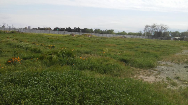 sitio-agricola,-comercial,-centrico-mas-de-820-3