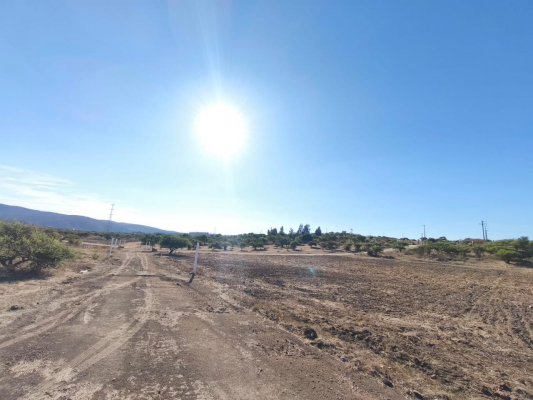 venta-parcelas-5000-m2-los-laureles-limache-6