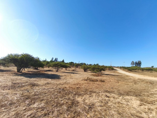 venta-parcelas-5000-m2-los-laureles-limache-7