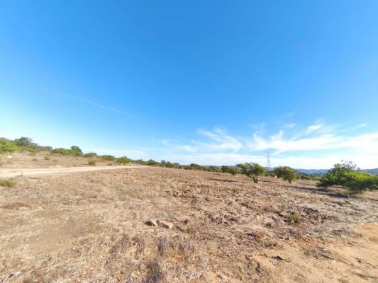 venta-parcelas-5000-m2-los-laureles-limache-8