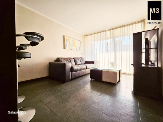 dpto-1d-1b-metro-manquehue,-gran-terraza-4