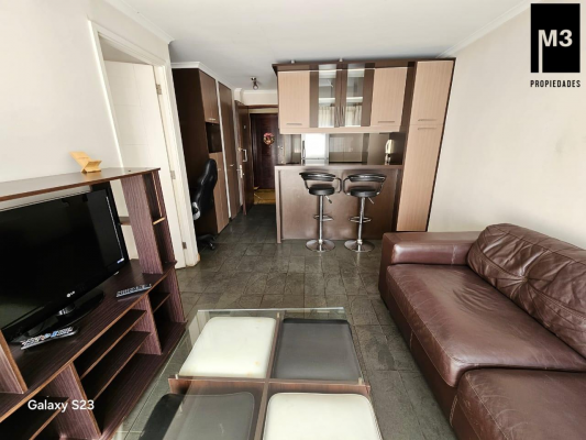 dpto-1d-1b-metro-manquehue,-gran-terraza-7