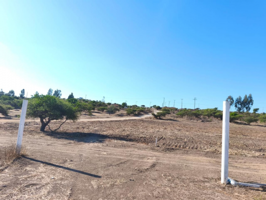 venta-parcelas-5000-m2-los-laureles-limache-4