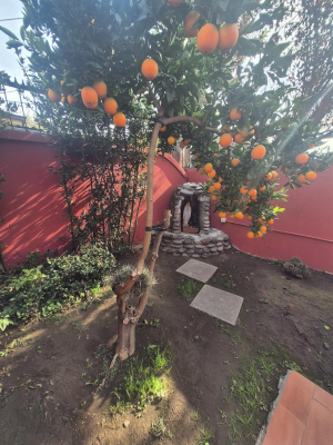 gran-casa-324-m2-superficie-total-en-nunoa-9