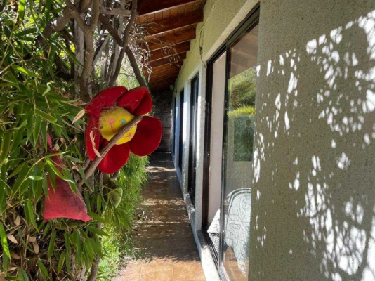 casa-con-amplio-terreno-en-quilpue-(91105)-9