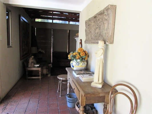 cauquenes,-18-hectareas,-casa-y-vinas-(169676)-5