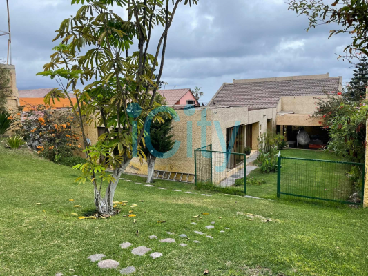 excelente-inversion-en-zona-residencial-(169602)-5