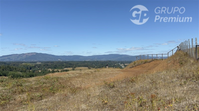 114077245-4