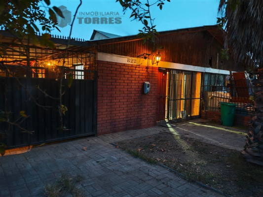-19