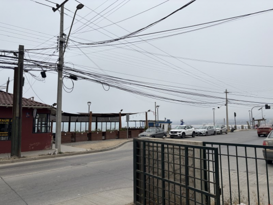 126463-4