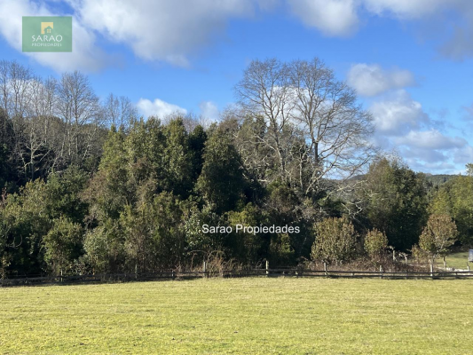 44-hectareas-en-llanquihue-fresia-con-rio-y-bosque-3