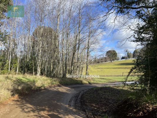 44-hectareas-en-llanquihue-fresia-con-rio-y-bosque-4
