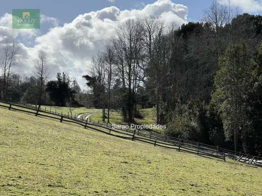 44-hectareas-en-llanquihue-fresia-con-rio-y-bosque-7