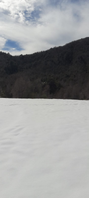 parcelas-desde-5000-m2-cerca-de-nevados-de-chillan-7