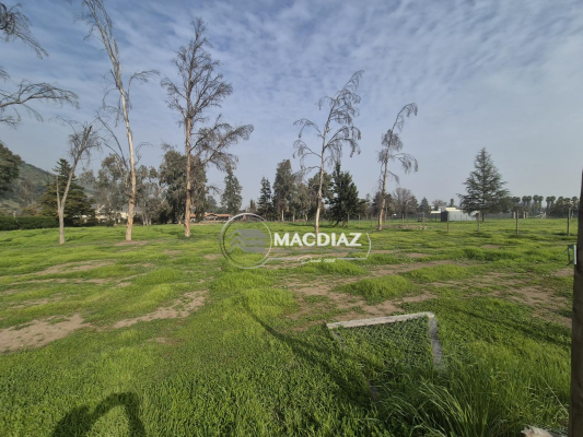 exclusivo-las-palmas-de-oliveto-club-de-golf-4