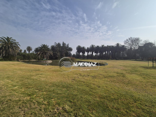 exclusivo-las-palmas-de-oliveto-club-de-golf-5