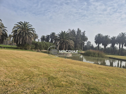exclusivo-las-palmas-de-oliveto-club-de-golf-6