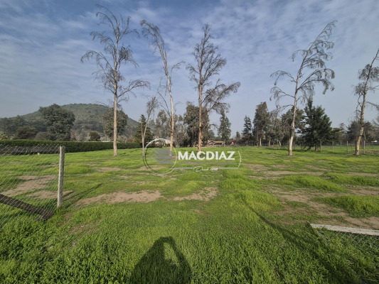 exclusivo-las-palmas-de-oliveto-club-de-golf-7