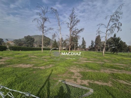 exclusivo-las-palmas-de-oliveto-club-de-golf-9