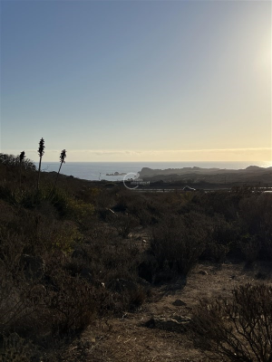 104110244-4