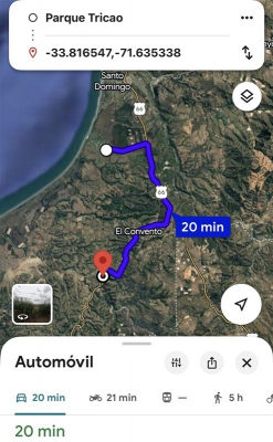 -6