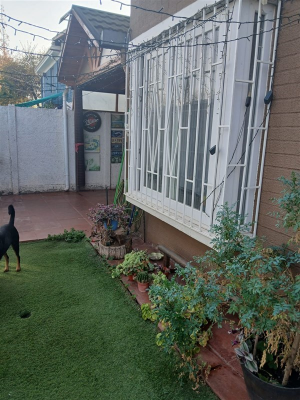 101113394-4