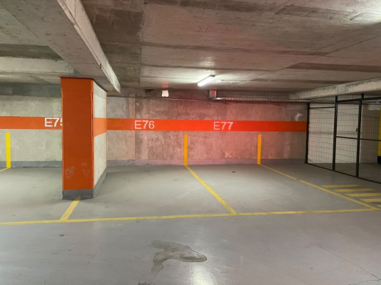 -19