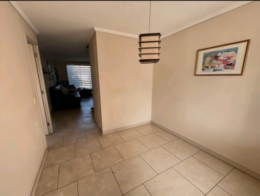 p20267893mar-8