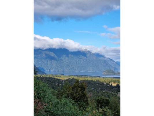 -1