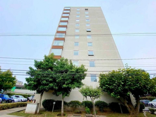 amplio-y-luminoso-hogar-para-disfrutar-(170166)-8