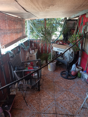 -19